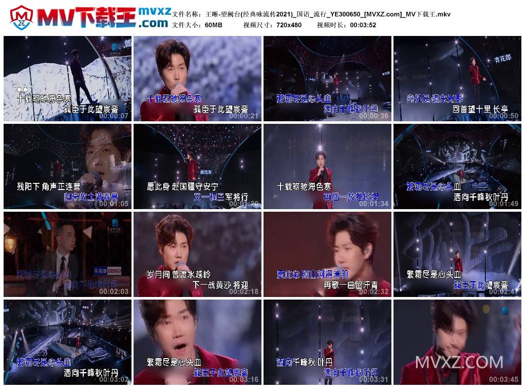 王晰-望阙台(经典咏流传2021)_国语_流行_YE300650